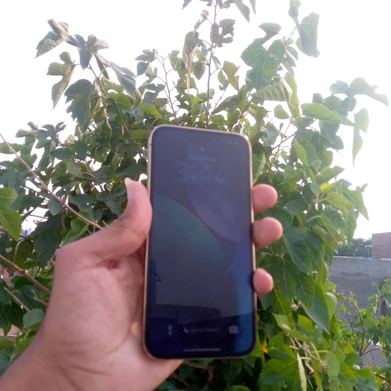 Apple iPhone 13 Pro 3