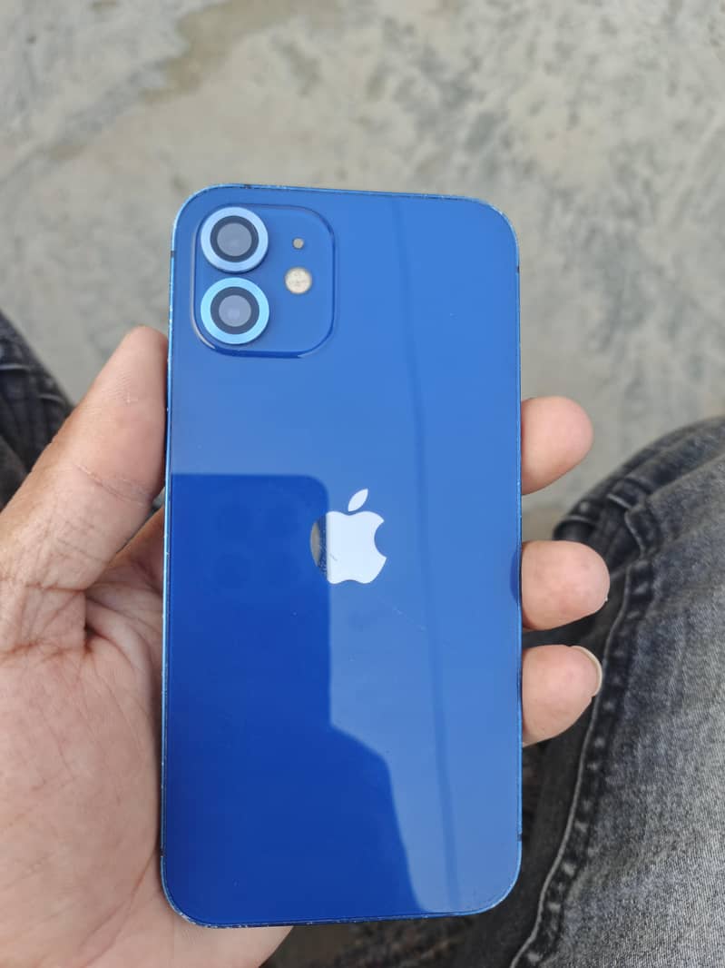 Apple iPhone 12 1
