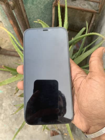 Apple iPhone 12 Pro Max