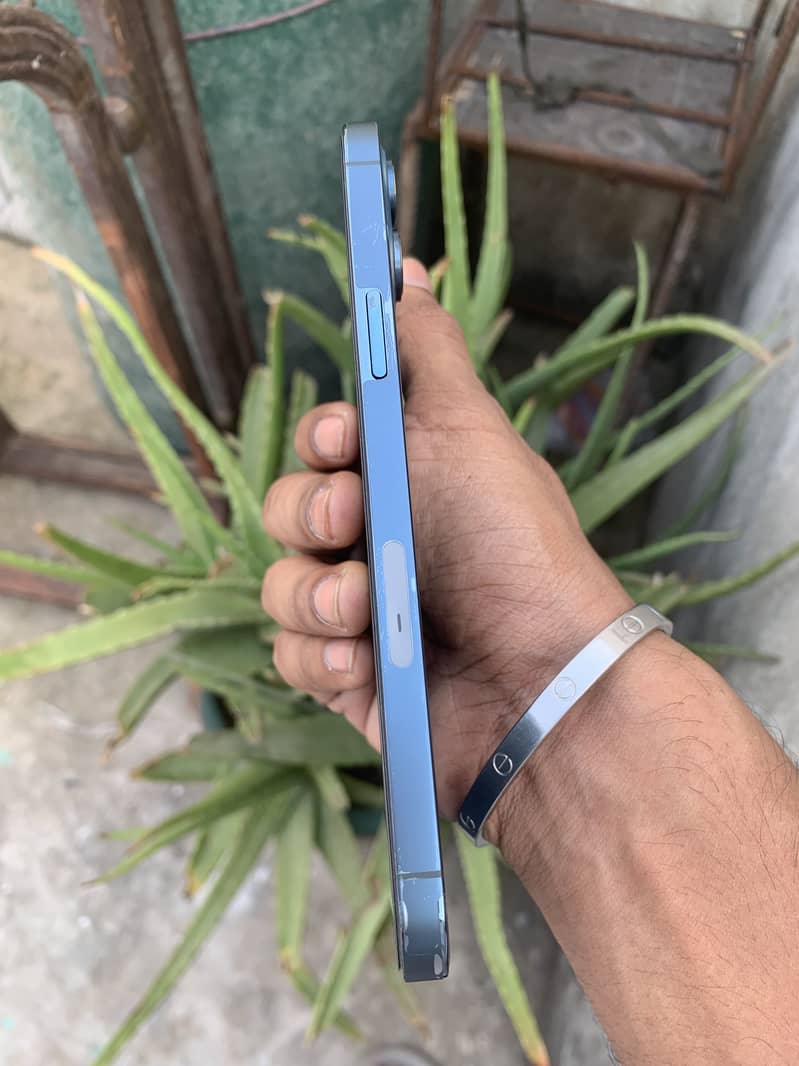 Apple iPhone 12 Pro Max 2