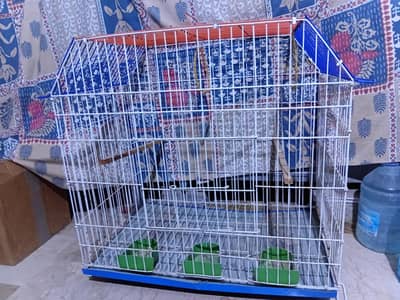 Animal cage
