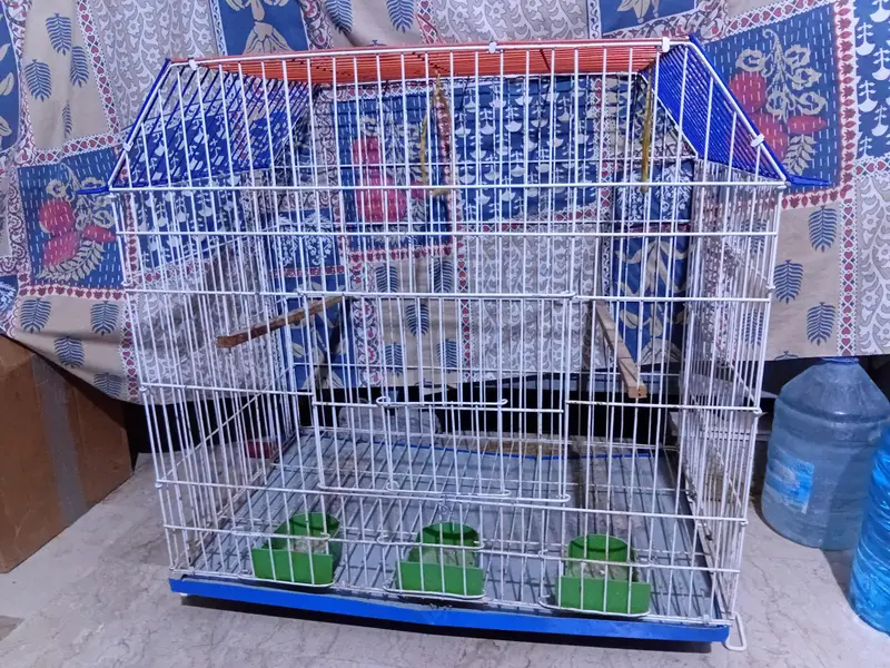 Animal cage — photo 3