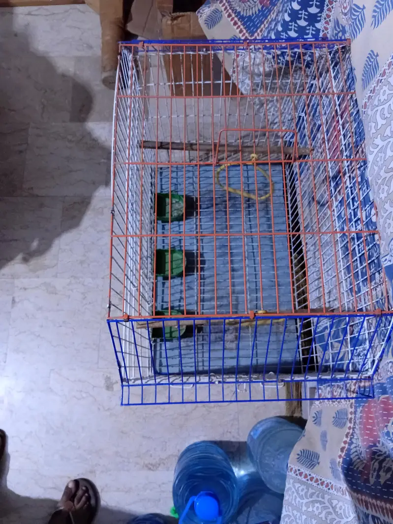 Animal cage — photo 4