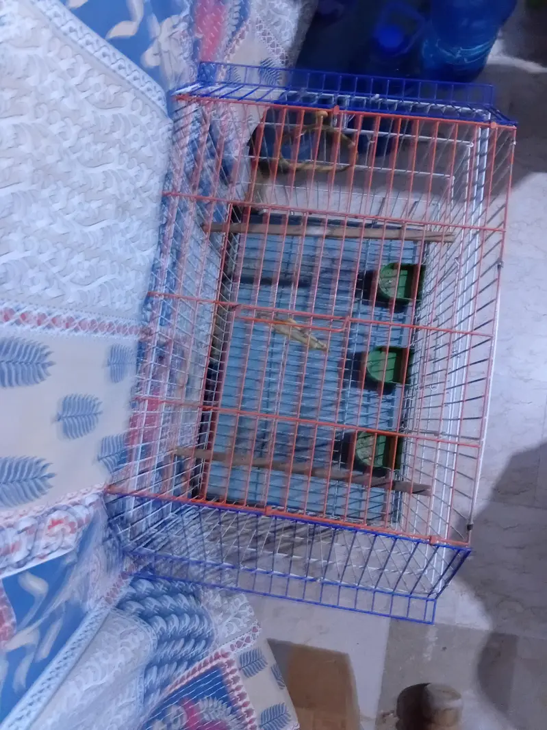 Animal cage — photo 6