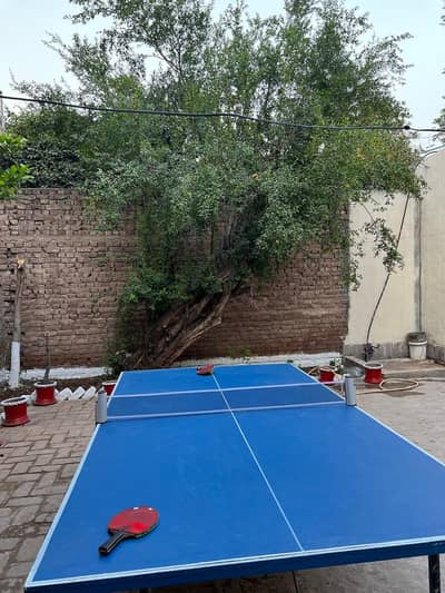 Table Tennis Table with Net