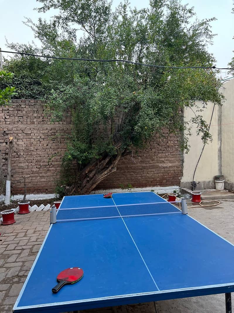 Table Tennis Table with Net 0