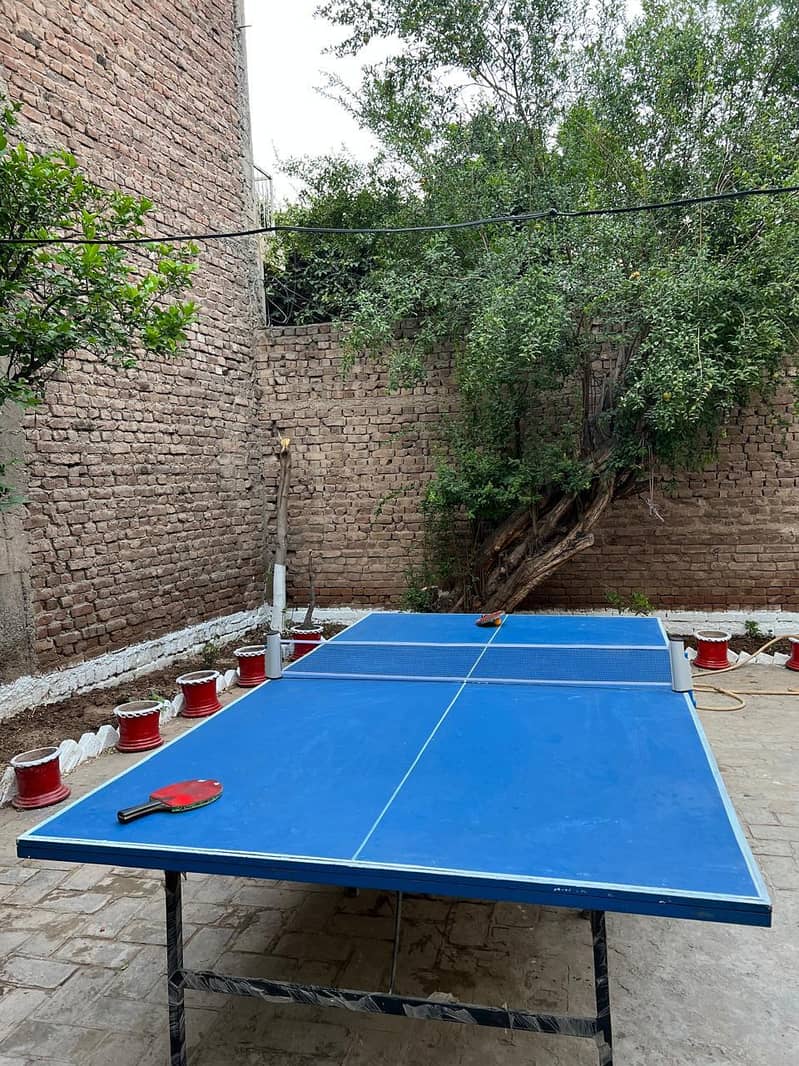 Table Tennis Table with Net 1