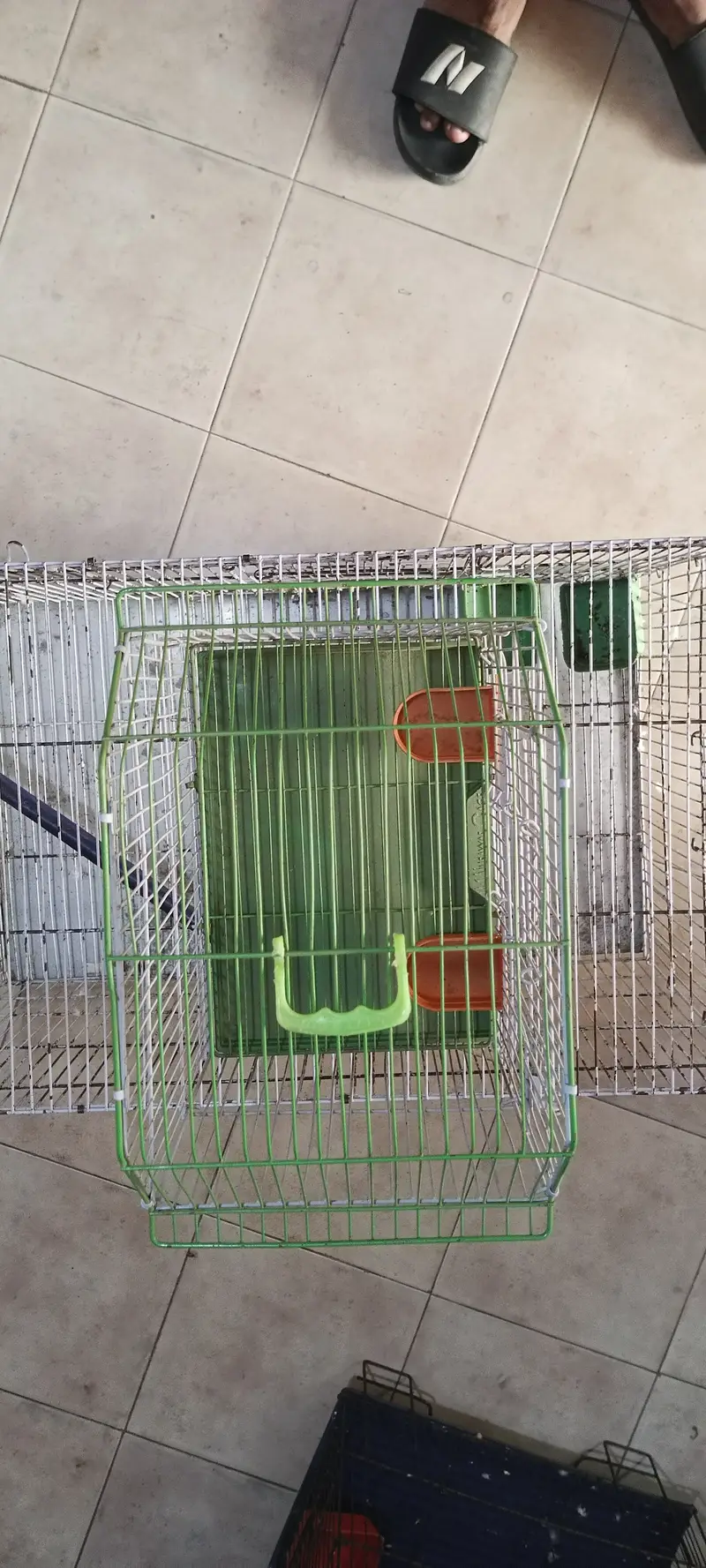 Single Parrot Beautiful and clean Cage for Ring Necked Parakeet — photo 2