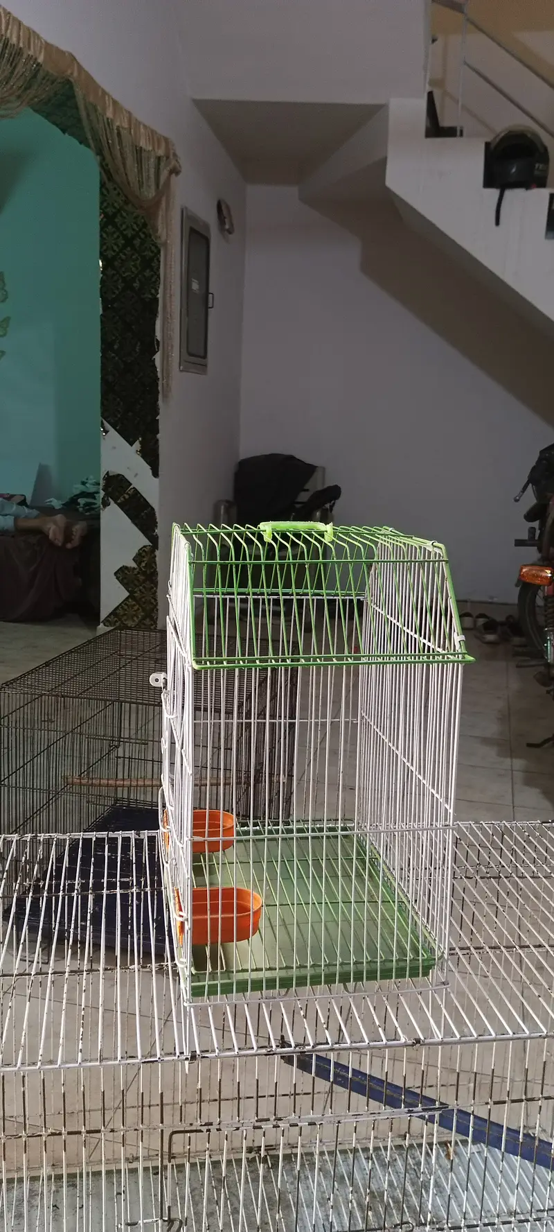 Single Parrot Beautiful and clean Cage for Ring Necked Parakeet — photo 3