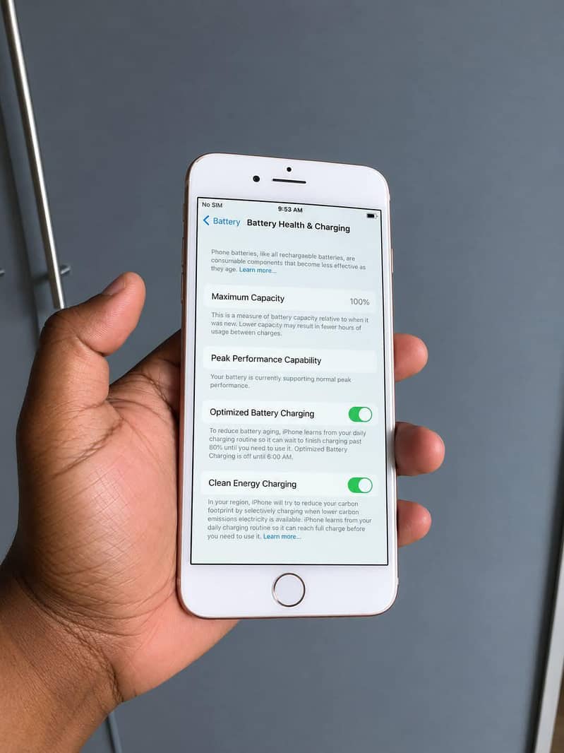 Apple iPhone 8 Plus 3