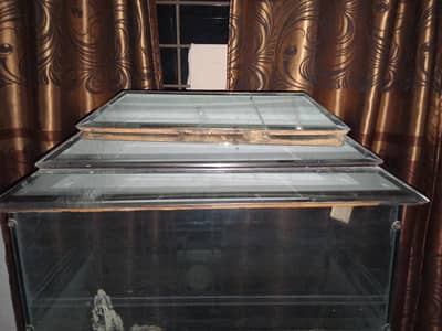 fish equarium for sale urgent seriously contact me demand 15 thousand