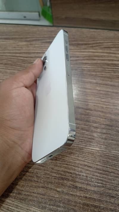 Apple iPhone 13 Pro Max  (jv)