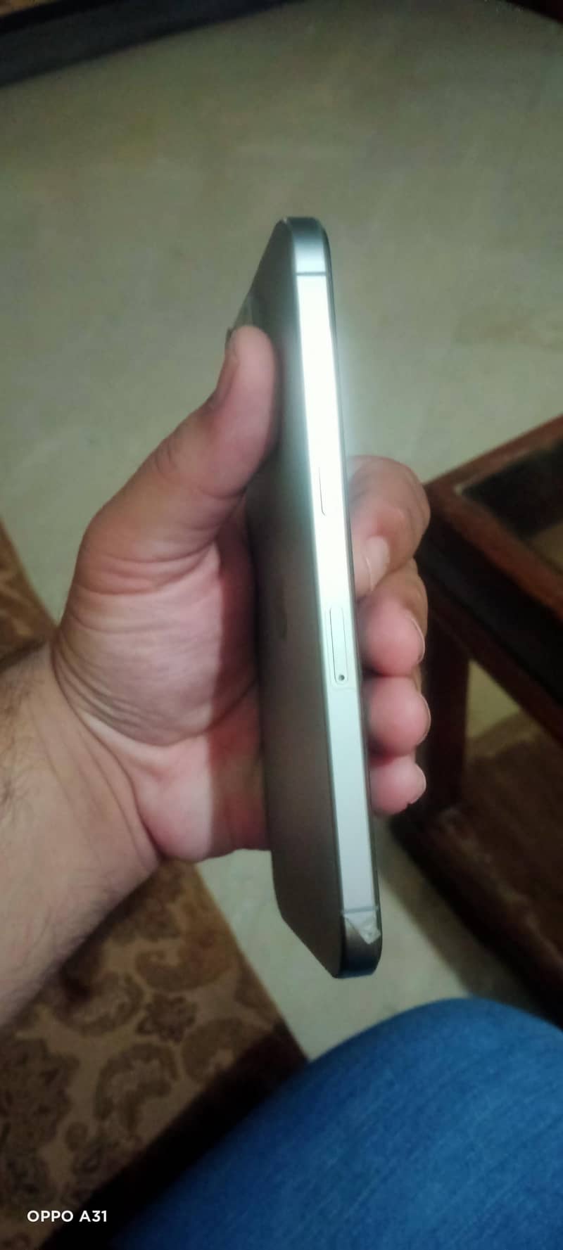 Apple iPhone 15 Pro Max 1