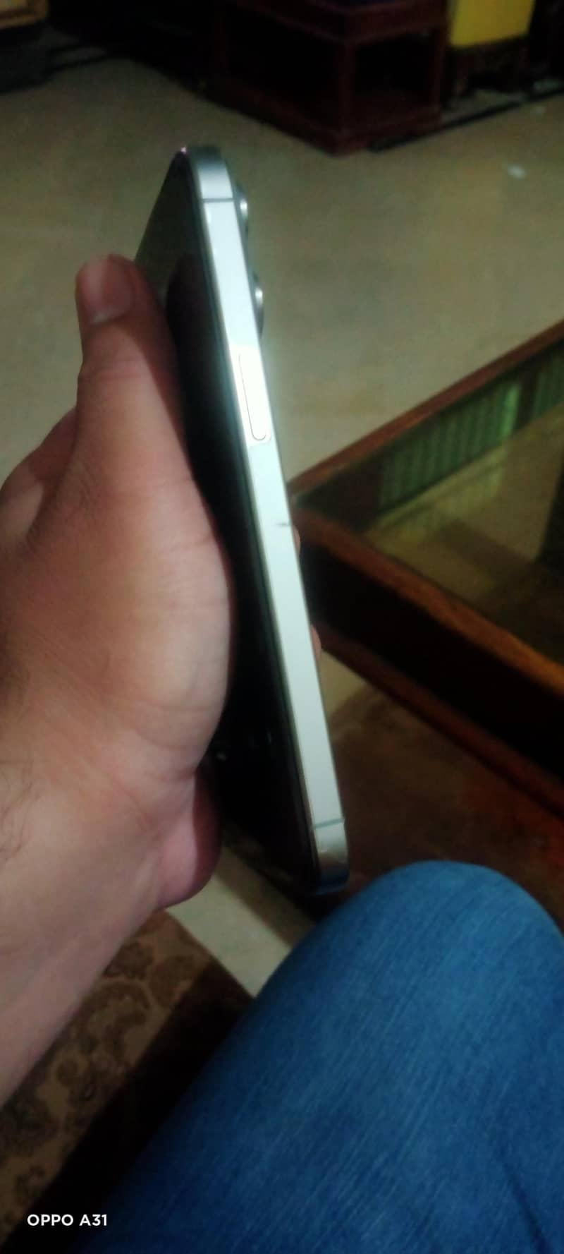 Apple iPhone 15 Pro Max 3
