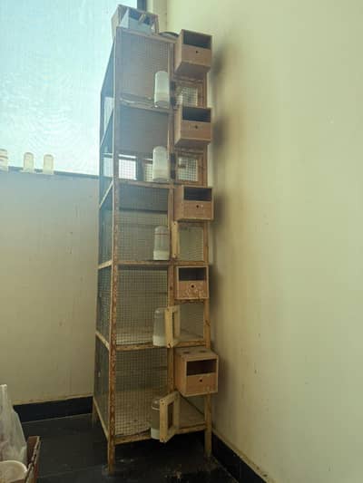 wooden cages
