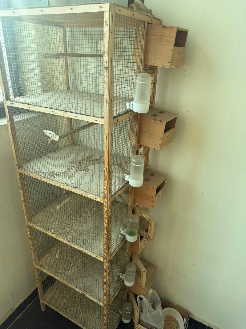 wooden cages — photo 2