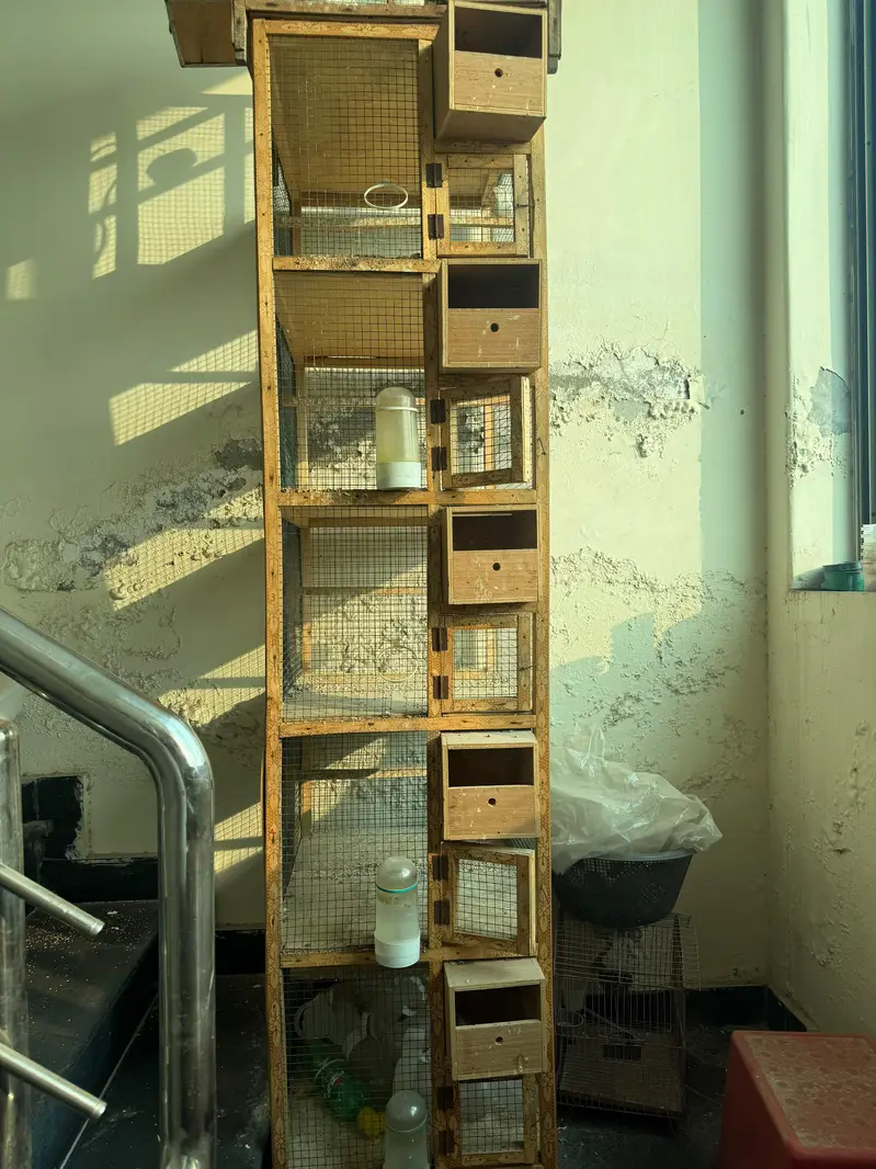wooden cages — photo 3