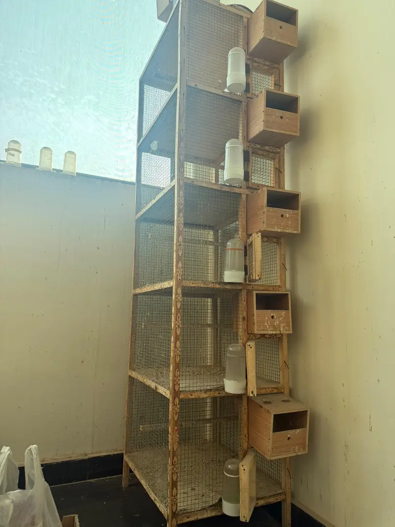 wooden cages — photo 4