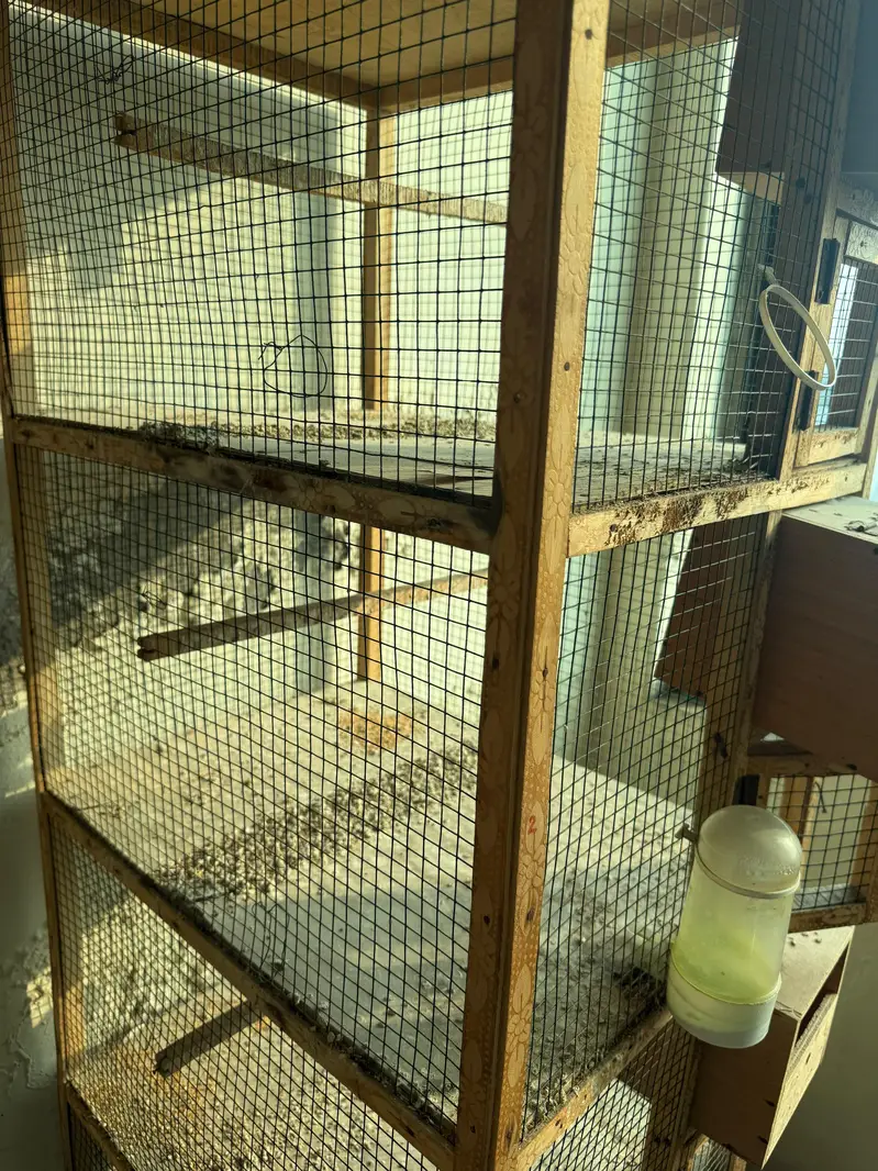 wooden cages — photo 5