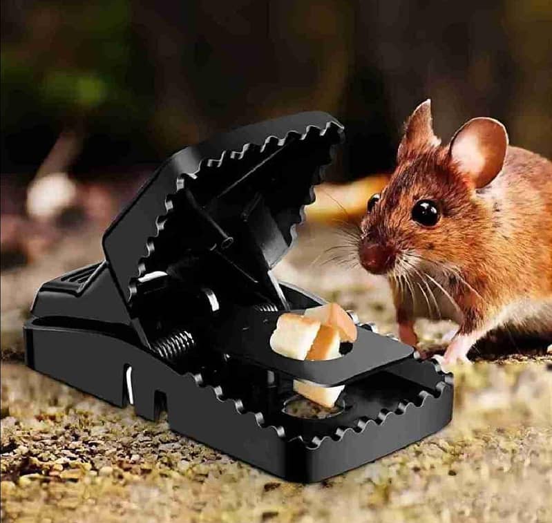 mouse killer 6