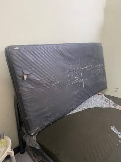 MOLTY FOAM 6FT