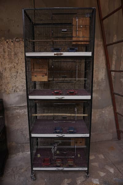 Cages for sale
