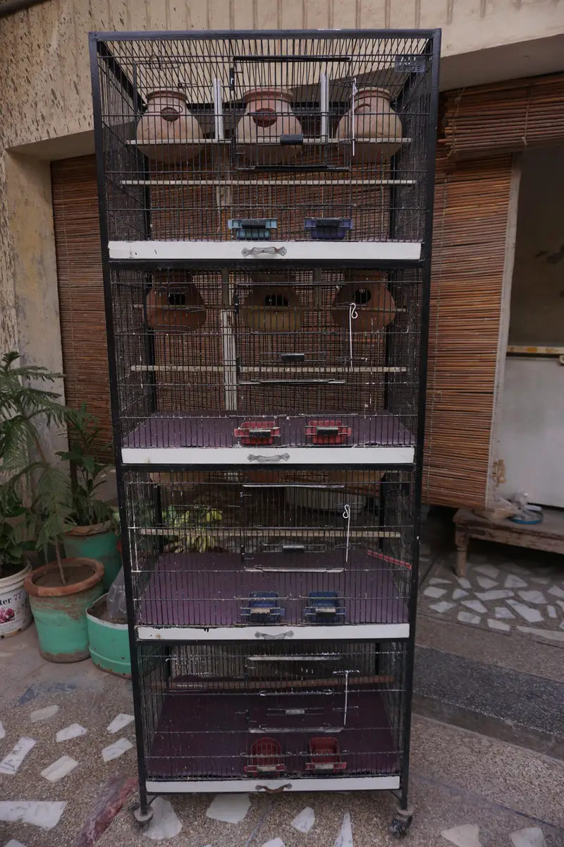 Cages for sale — photo 2