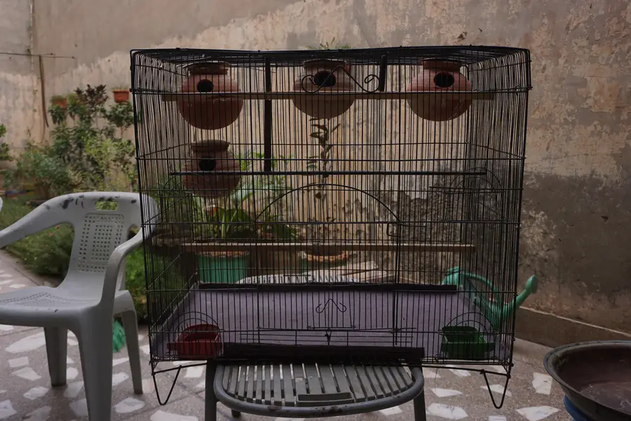 Cages for sale — photo 3