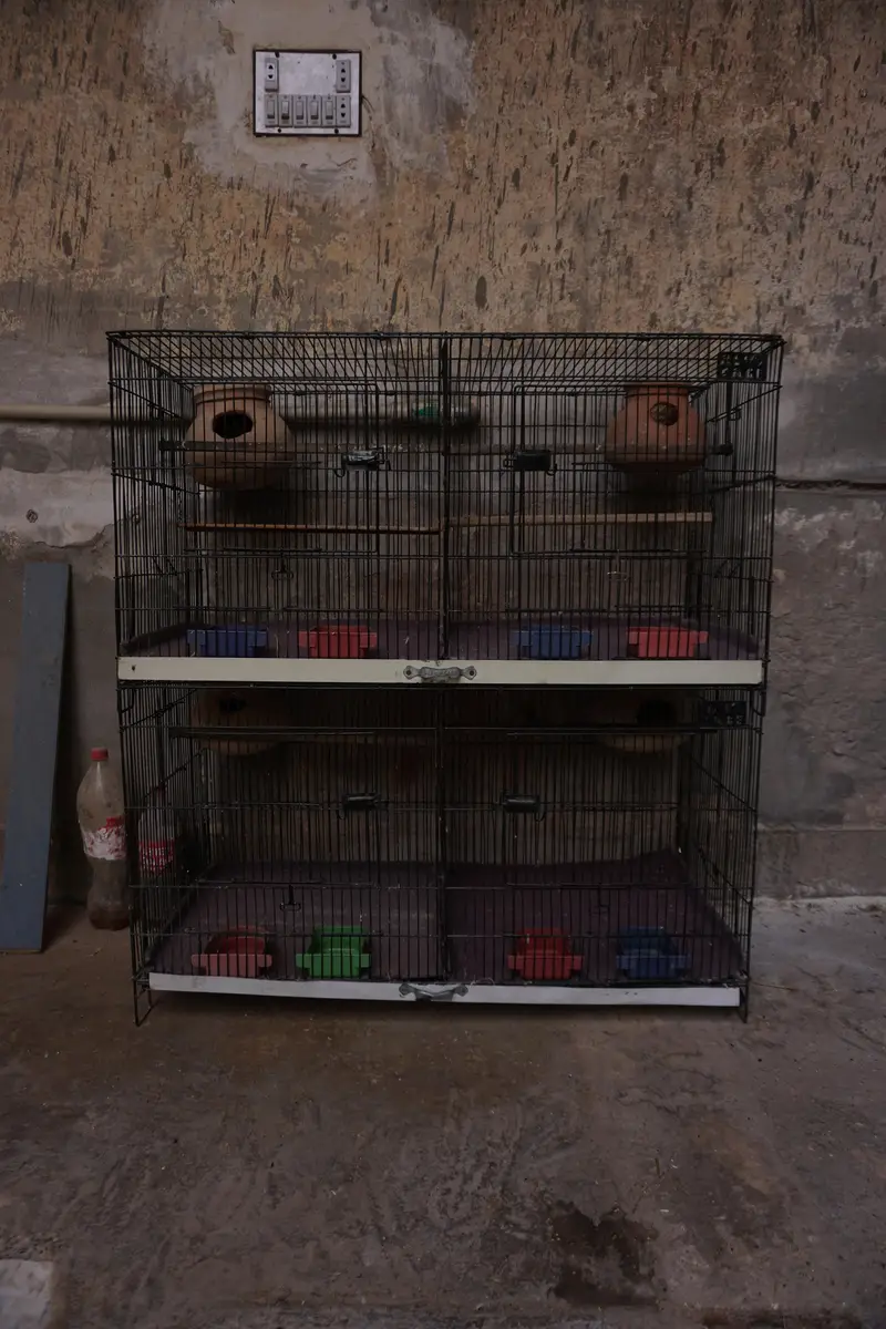 Cages for sale — photo 4