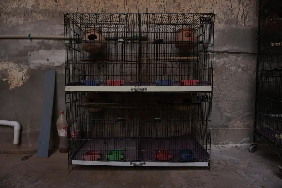 Cages for sale — photo 5
