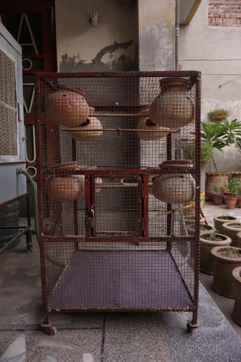 Cages for sale — photo 6