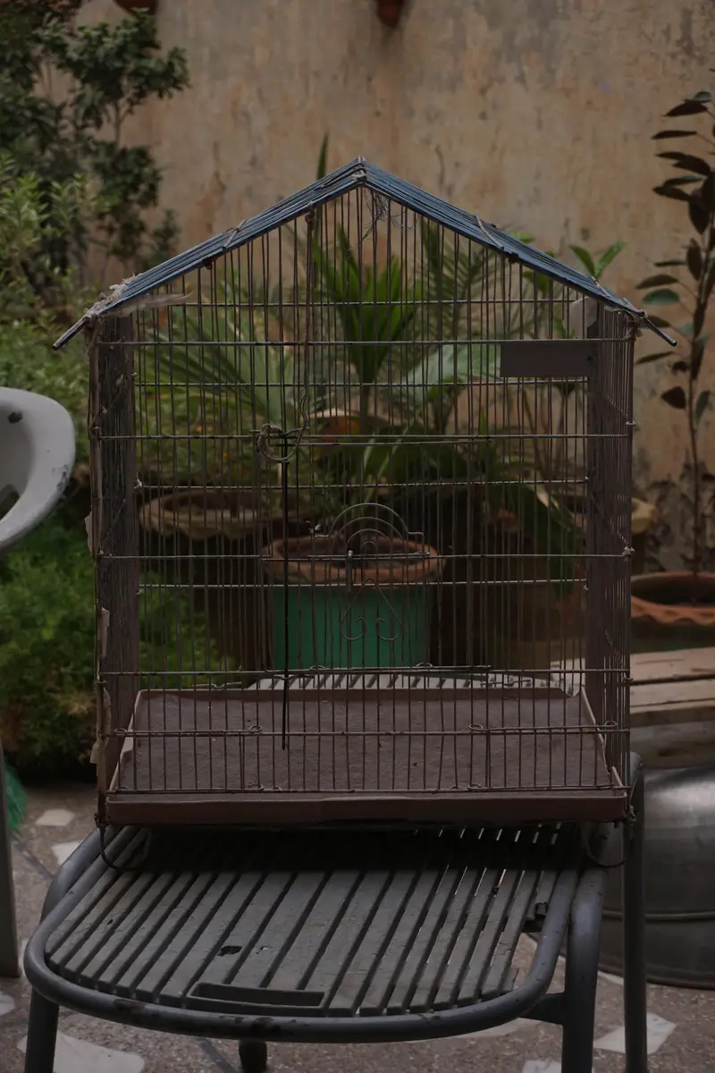 Cages for sale — photo 7