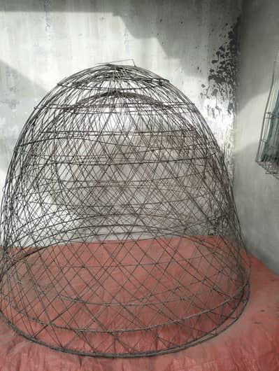 Hen Tokra and cage available