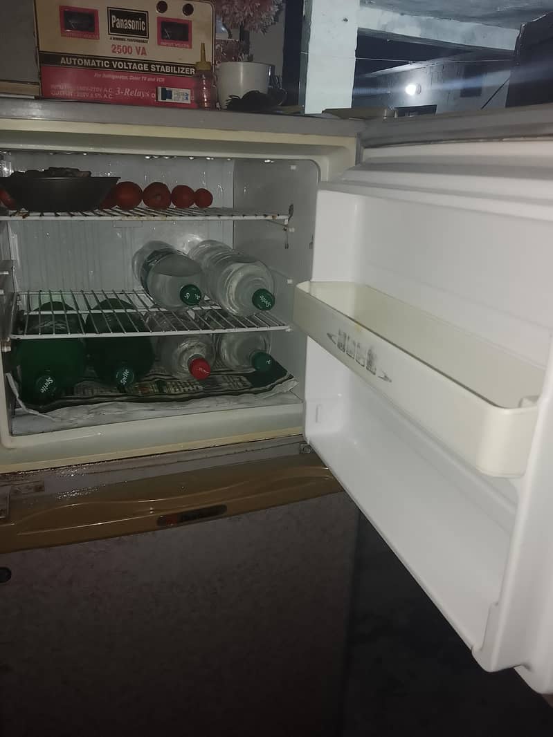 medium size frej 0