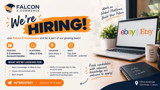 E-commerce Account Handler – eBay & Ebay