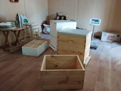 Australian beehive