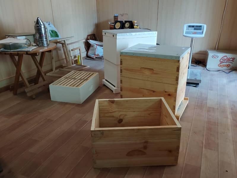 Australian beehive 1