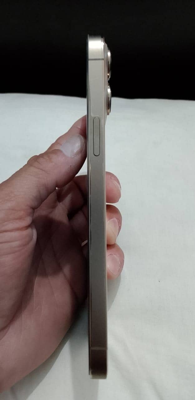 Apple iPhone 13 Pro Max 3