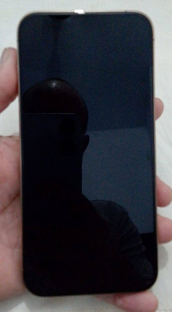 Apple iPhone 13 Pro Max 5