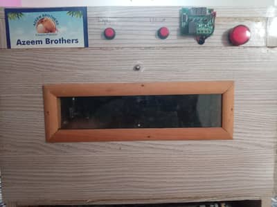 incubation machine for laying eggs