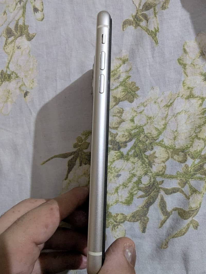 Apple iPhone 11 3