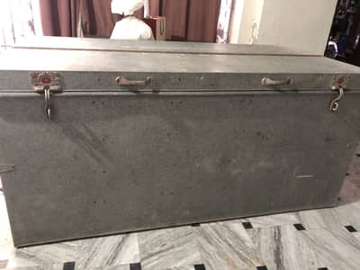 Full Size Peti/Trunk