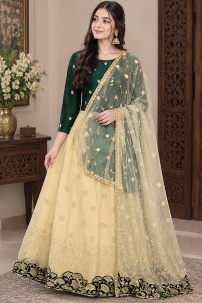 Premium Embroidered Pakistani Ladies Dress – Special Discount Price