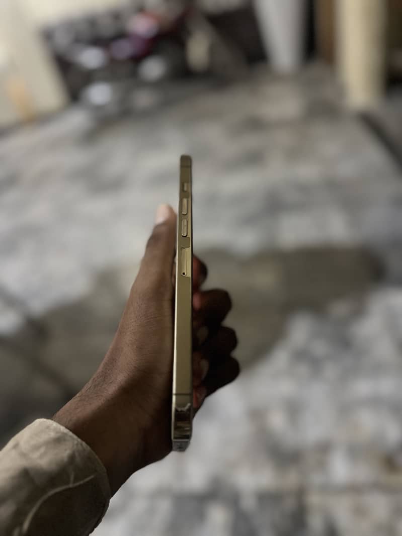 Apple iPhone 13 Pro Max 1