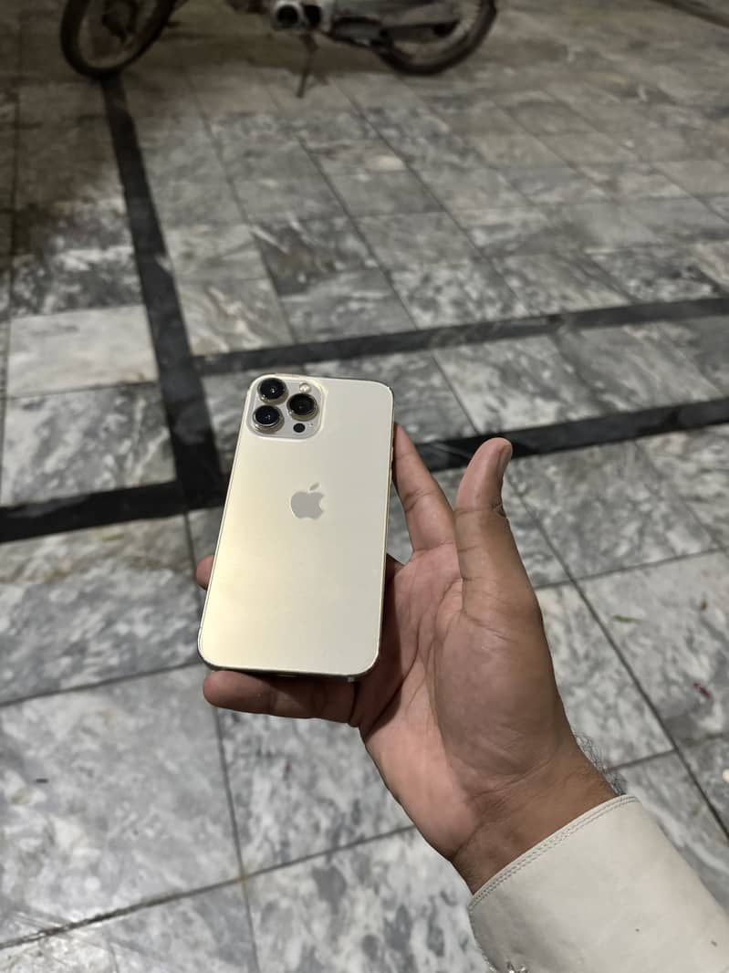Apple iPhone 13 Pro Max 6