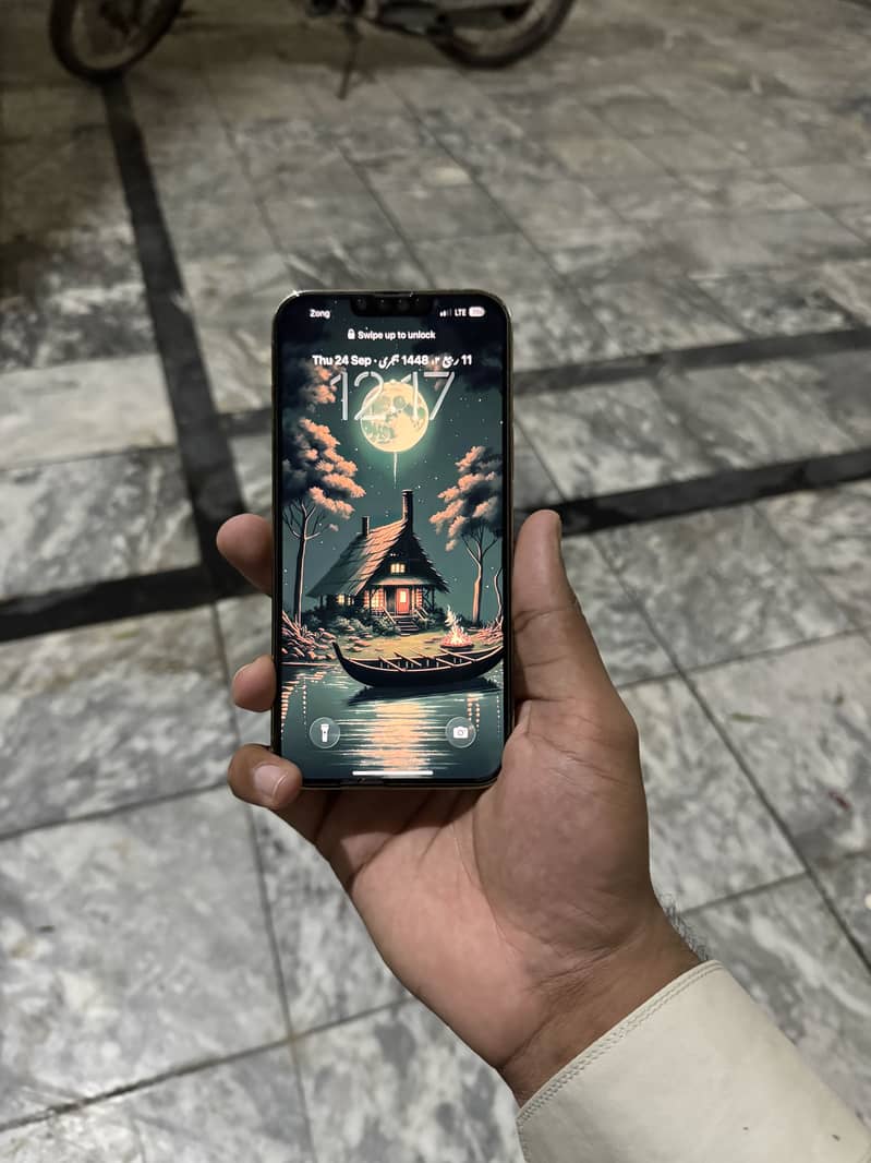Apple iPhone 13 Pro Max 9