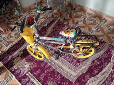 14 no cycle for 8 to 10 year