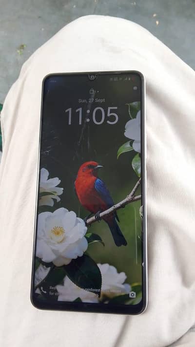 Vivo Y04