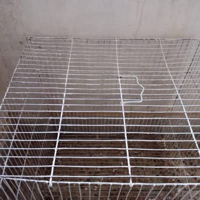 single portion cage available