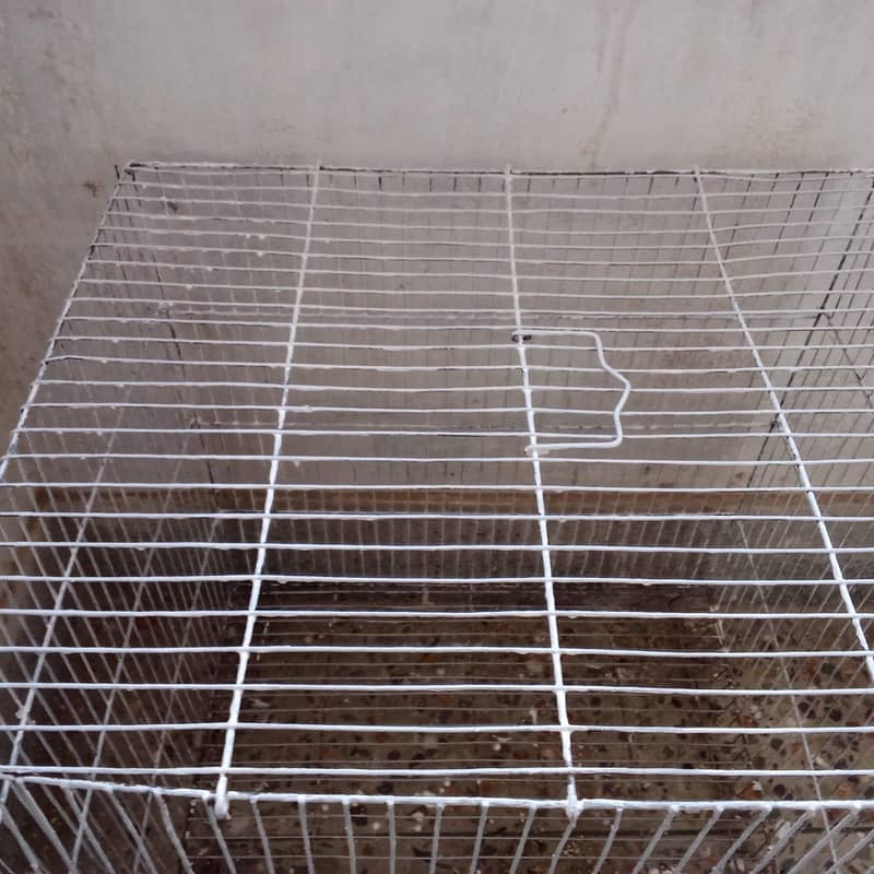 single portion cage available 0